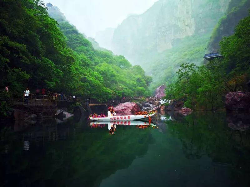 春雨直播app