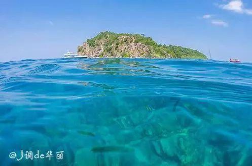 “一线传真”有奖征文启事